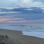 T3 60m2 Avec Vue Sur L'ocean דירה