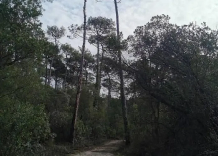 T3 60m2 Avec Vue Sur L'ocean *